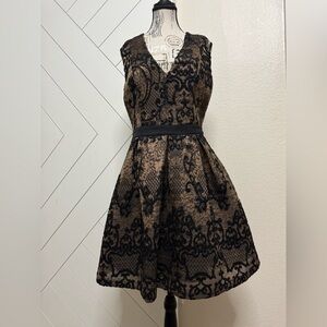 Endless Rose Black and Tan Lace Mini Dress